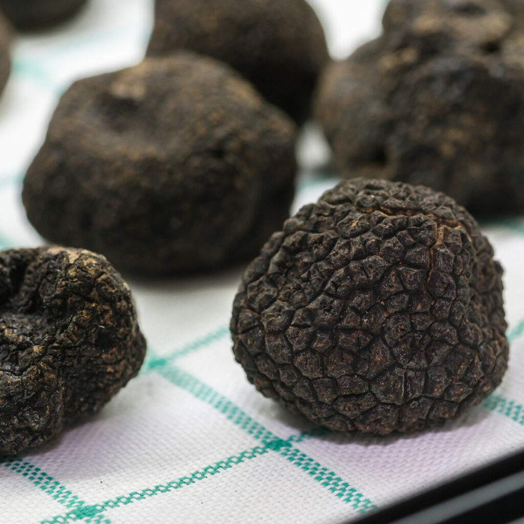 truffle edmonton